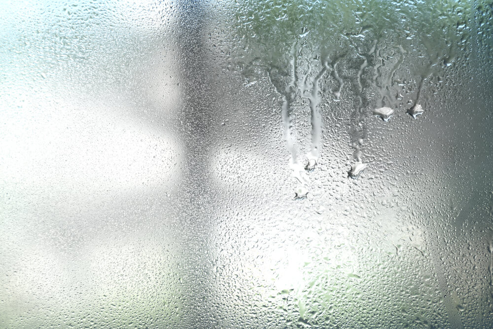 Does Home Insurance Cover Foggy Windows?