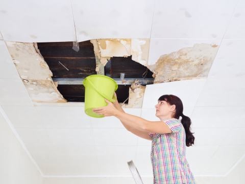 What is the Typical Cost for Water Damage Restoration?